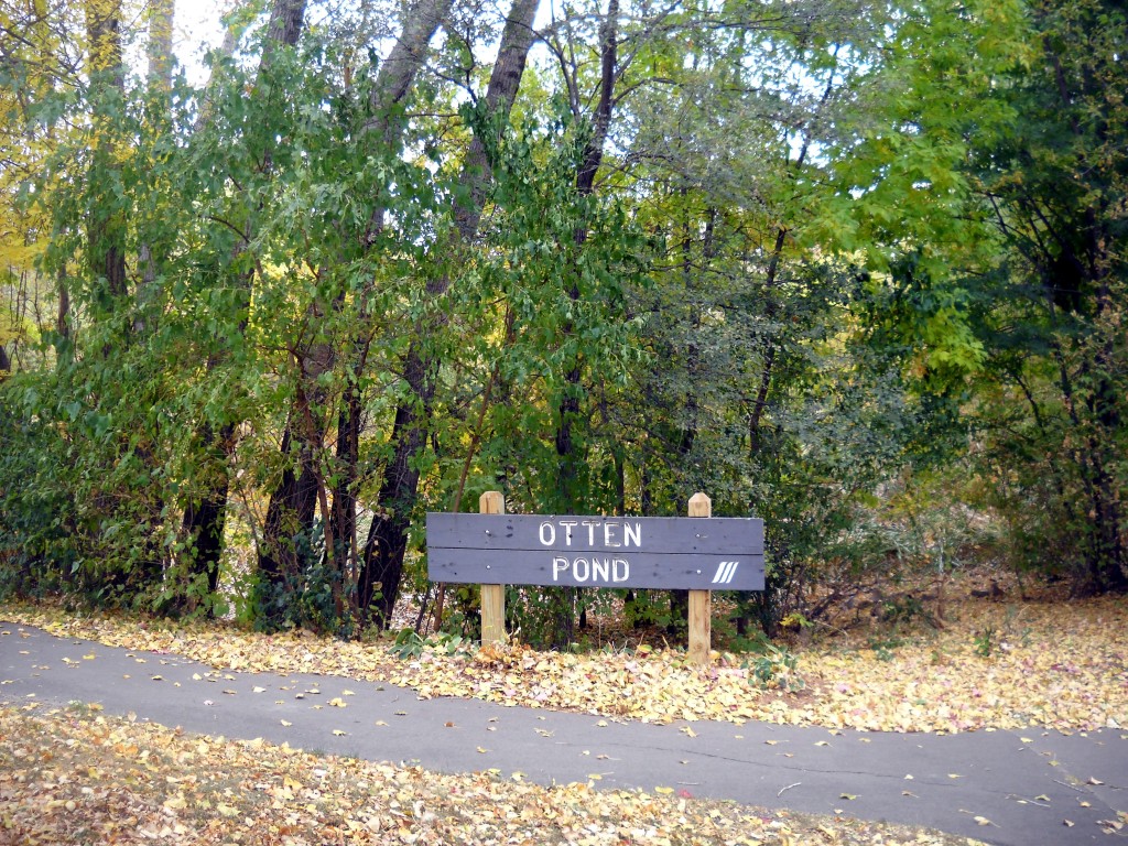 Otten Pond 1