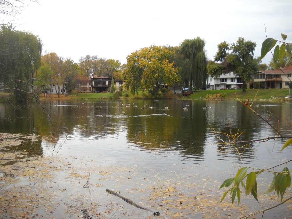 Utah Pond 2