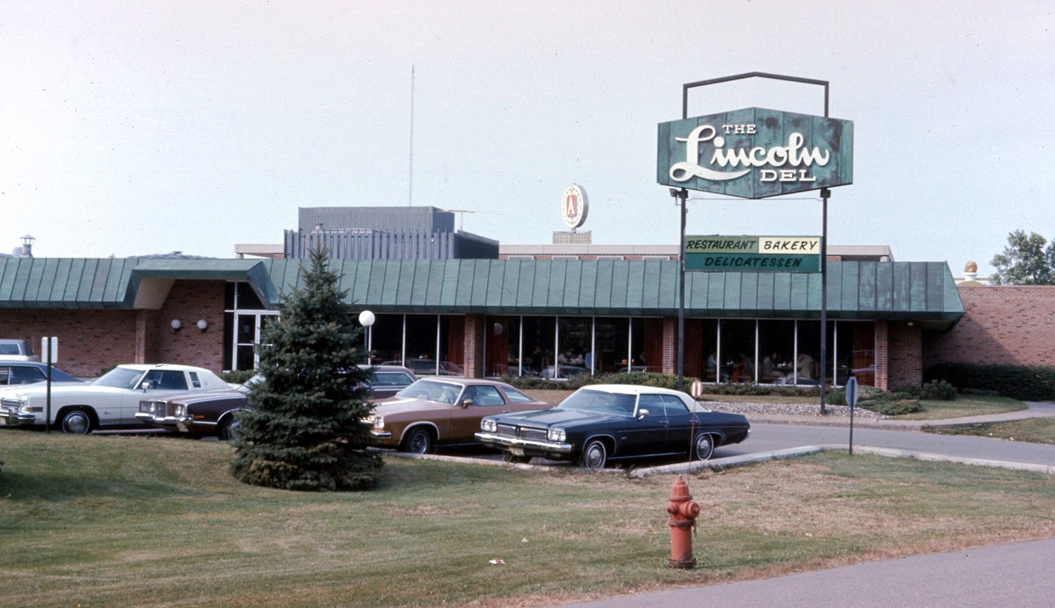 Lincoln Del Wayzata Blvd.